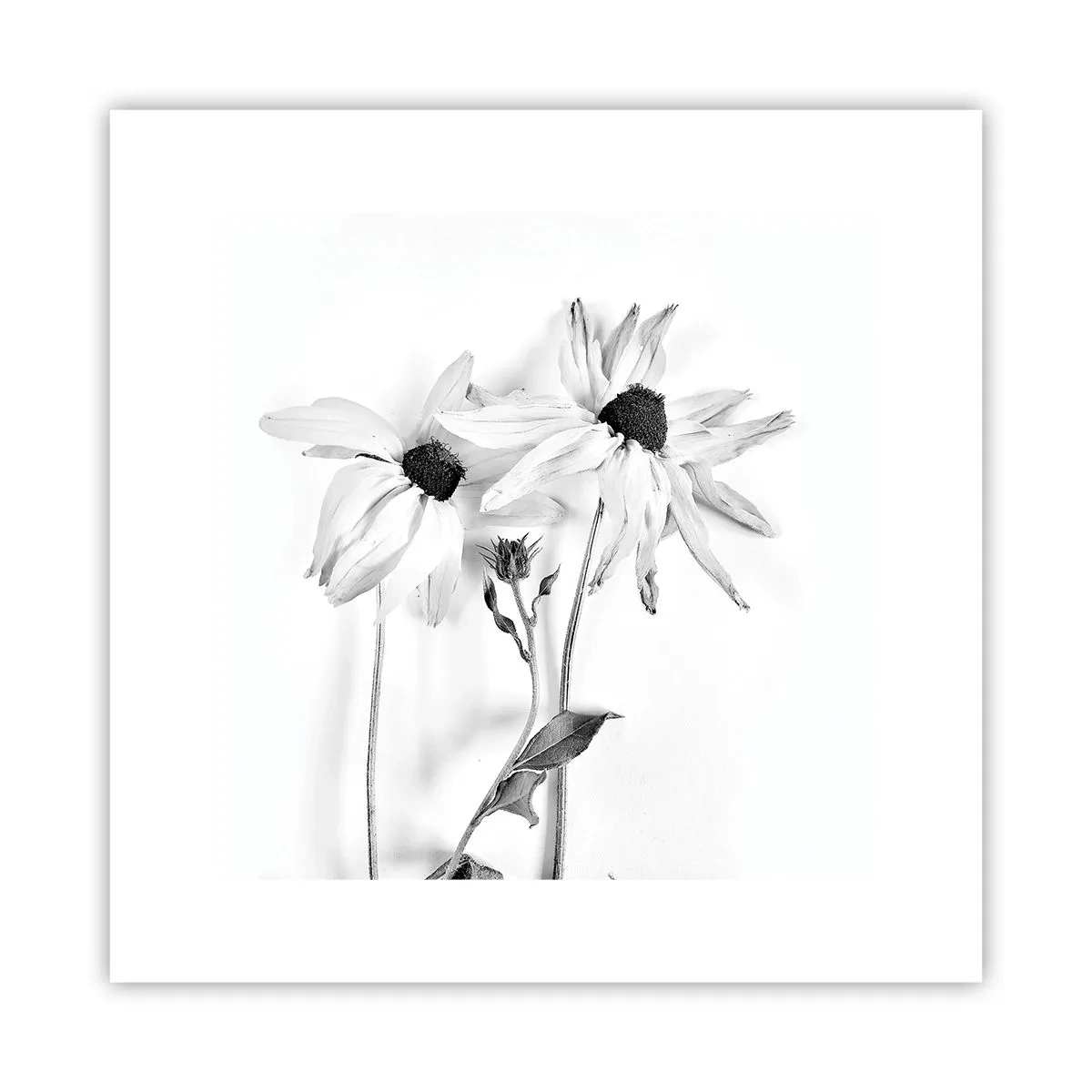 Affiche - Poster - Personne ne souhaite être seul - 30x30 cm