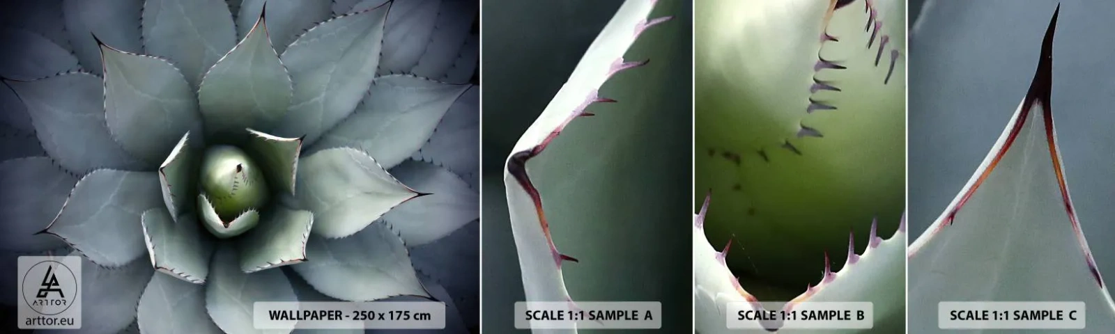 Échantillon de Papier Peint Autocollant Deluxe Sticker - Wabi et observe - Fleur d'agave, Agave, Exotisme - 100x30 cm