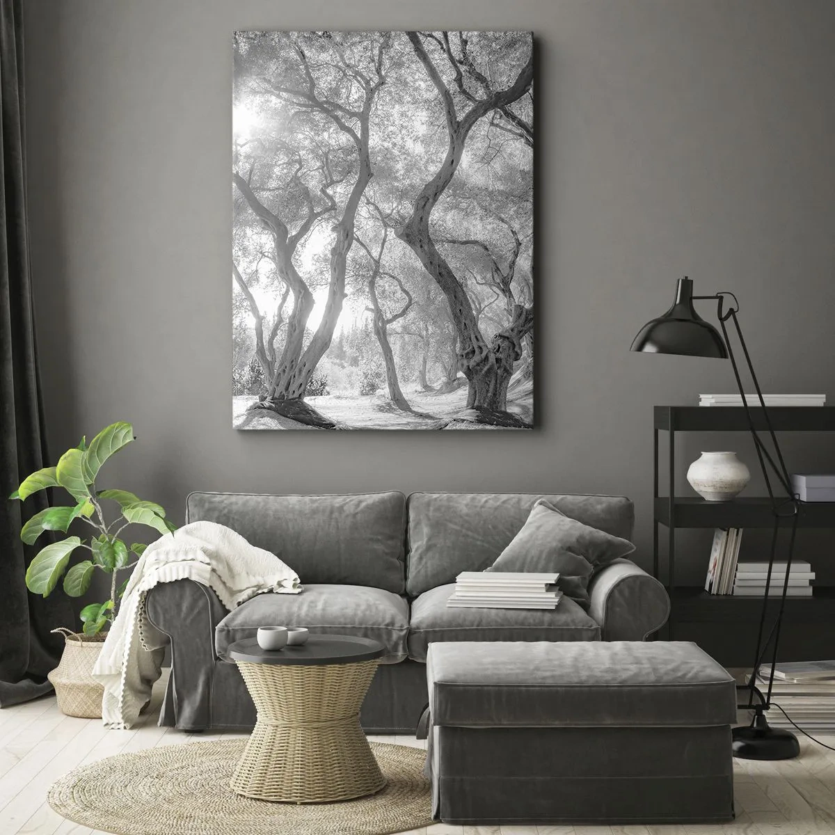 Impression sur toile - Image sur toile - Vue en noir et blanc d'arbres dans une oliveraie avec des rayons de soleil - 70x100cm - Dans l'oliveraie - Décoration murale moderne pour le salon et la chambre ARTTOR