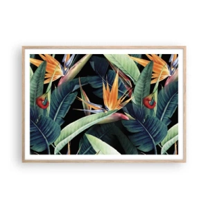 Affiche dans un chêne clair - Poster - Fleurs flamboyantes des tropiques - 100x70 cm