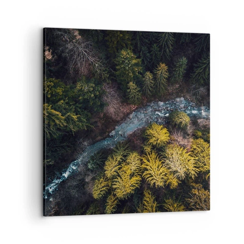 Impression sur toile - Image sur toile - De plus en plus vite - 50x50 cm