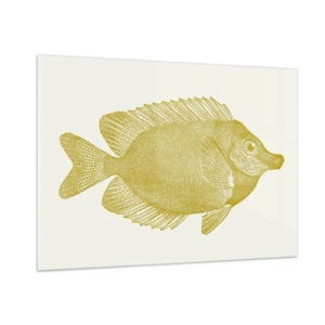 Impression sur verre - Image sur verre - Poisson rouge vintage sur fond clair - 100x70cm - Du poisson et c'est tout - Décoration murale moderne pour le salon et la chambre ARTTOR