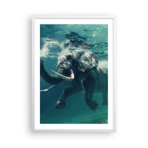 Affiche dans un cadre blanc - Poster - Tout le monde aime nager - 50x70 cm