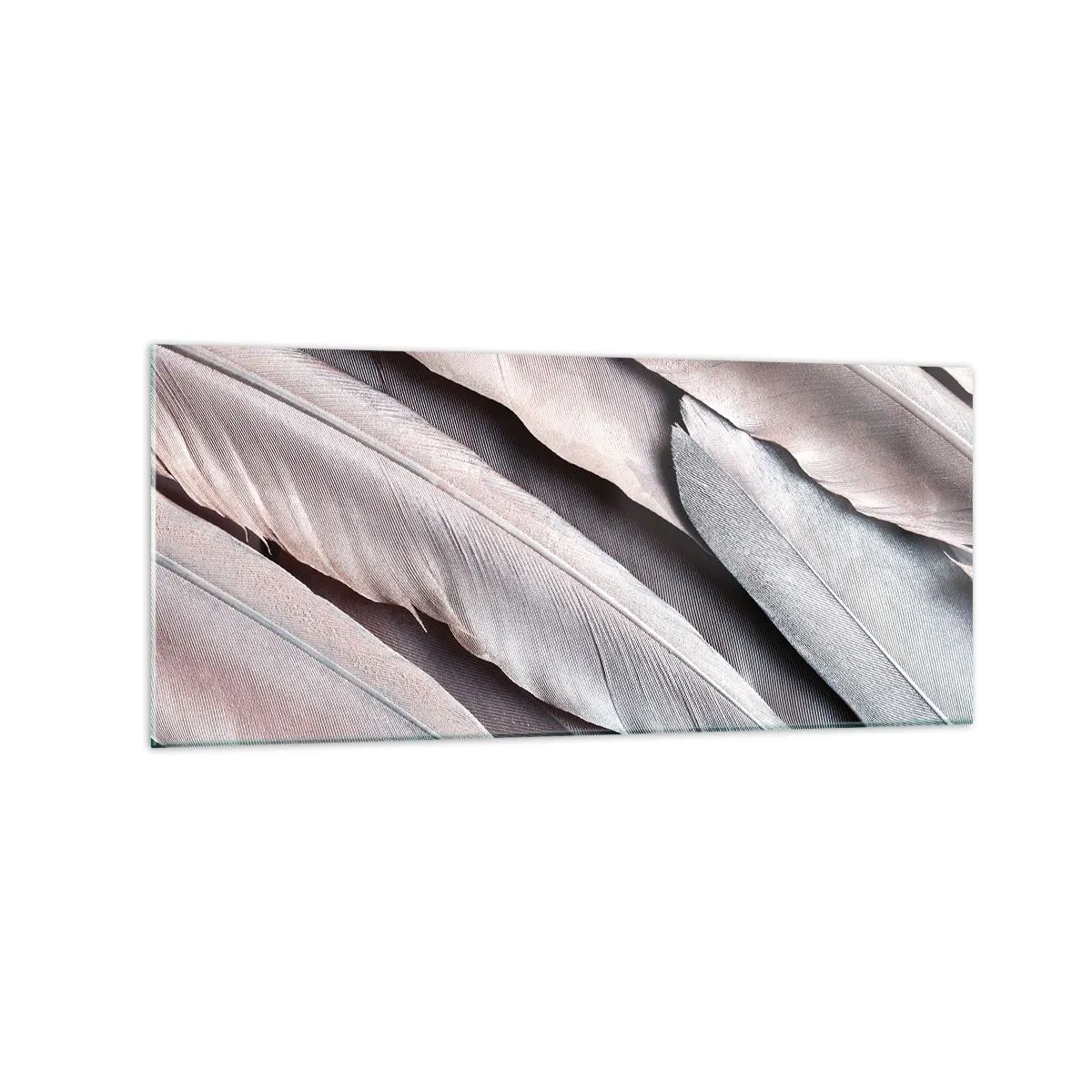 Impression sur verre - Image sur verre - Plumes délicates dans des tons subtils de gris et de beige - 120x50cm - En argent rose - Décoration murale moderne pour le salon et la chambre ARTTOR