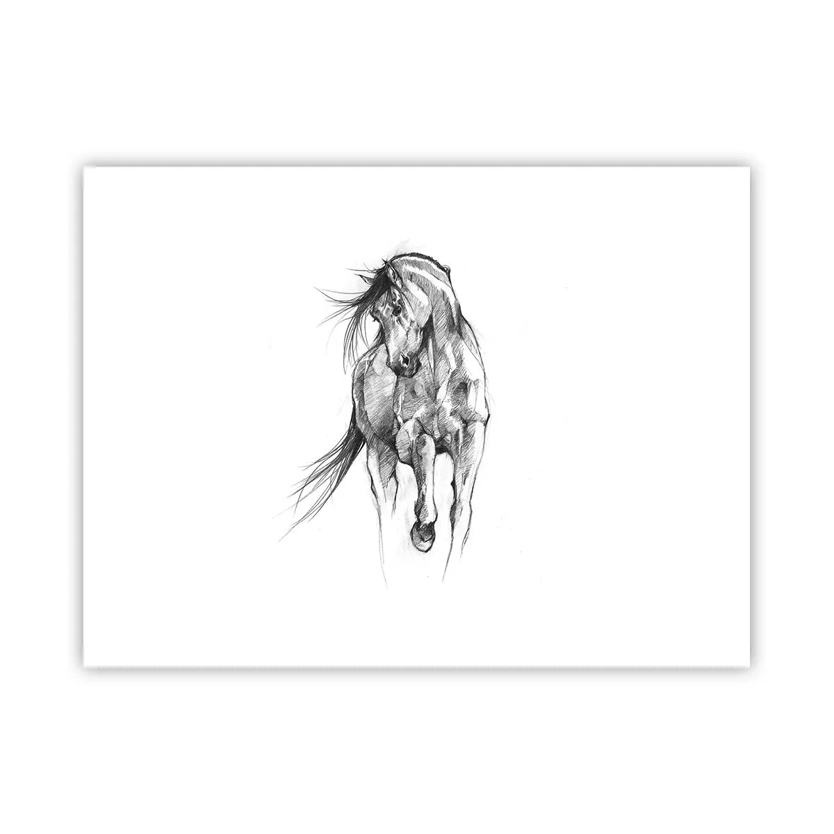Affiche - Poster - D'un trot gracieux - 40x30 cm