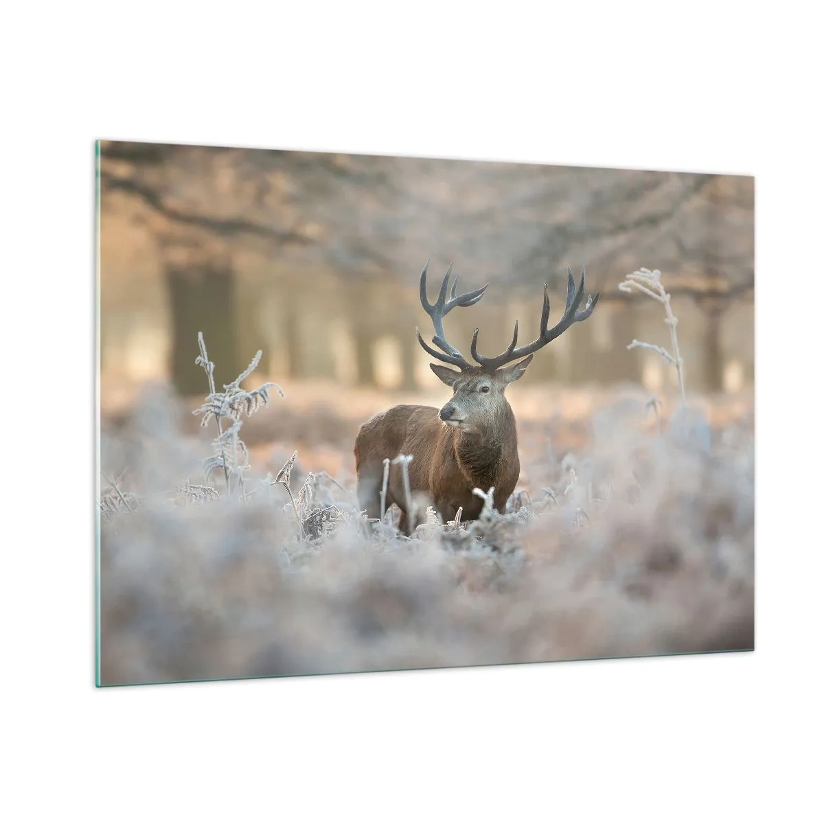 Impression sur verre - Image sur verre - Un cerf dans une clairière gelée entourée d'une forêt hivernale - 100x70cm - Une matinée animée - Décoration murale moderne pour le salon et la chambre ARTTOR
