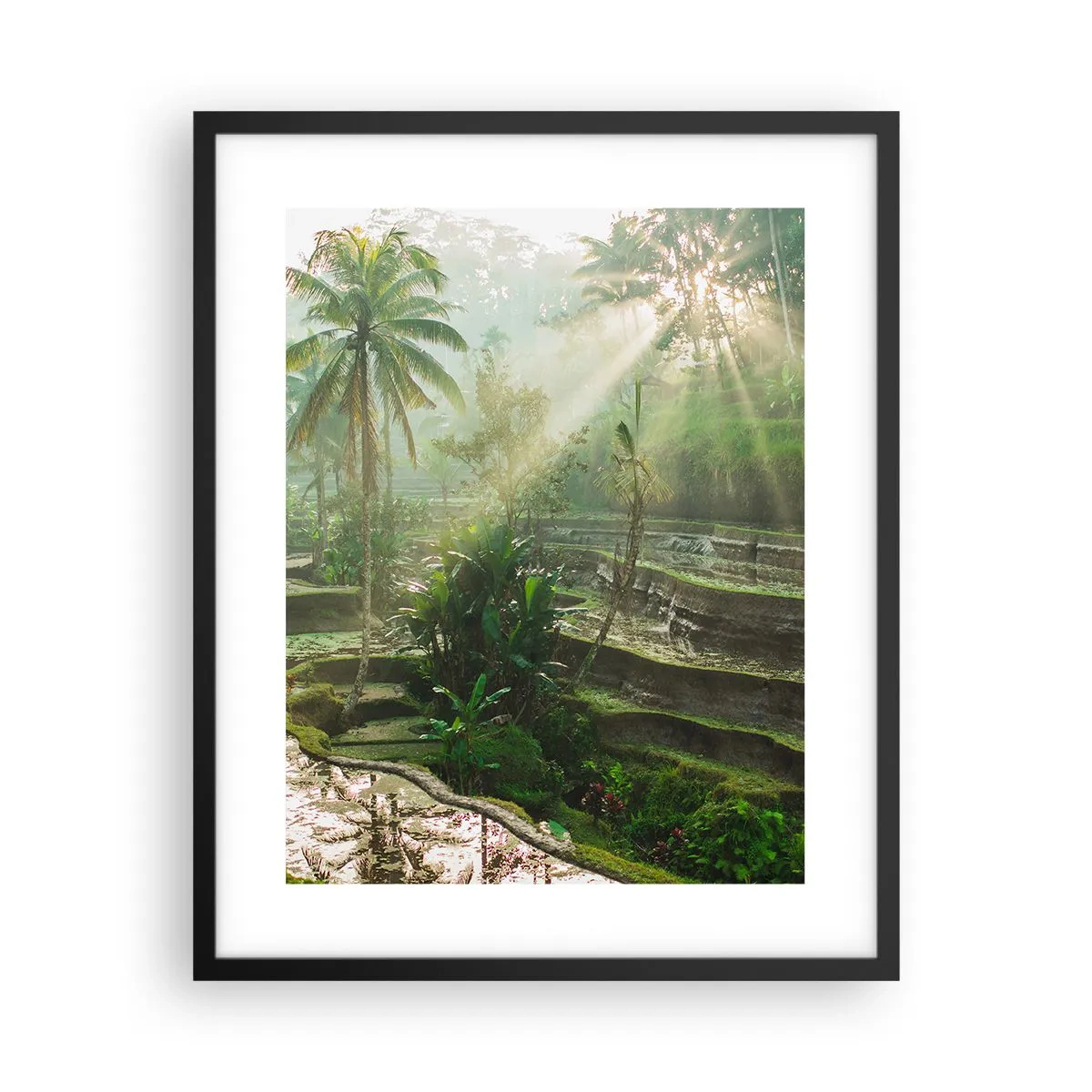 Affiche dans un cadre noir - Poster - Grandir au soleil - 40x50 cm