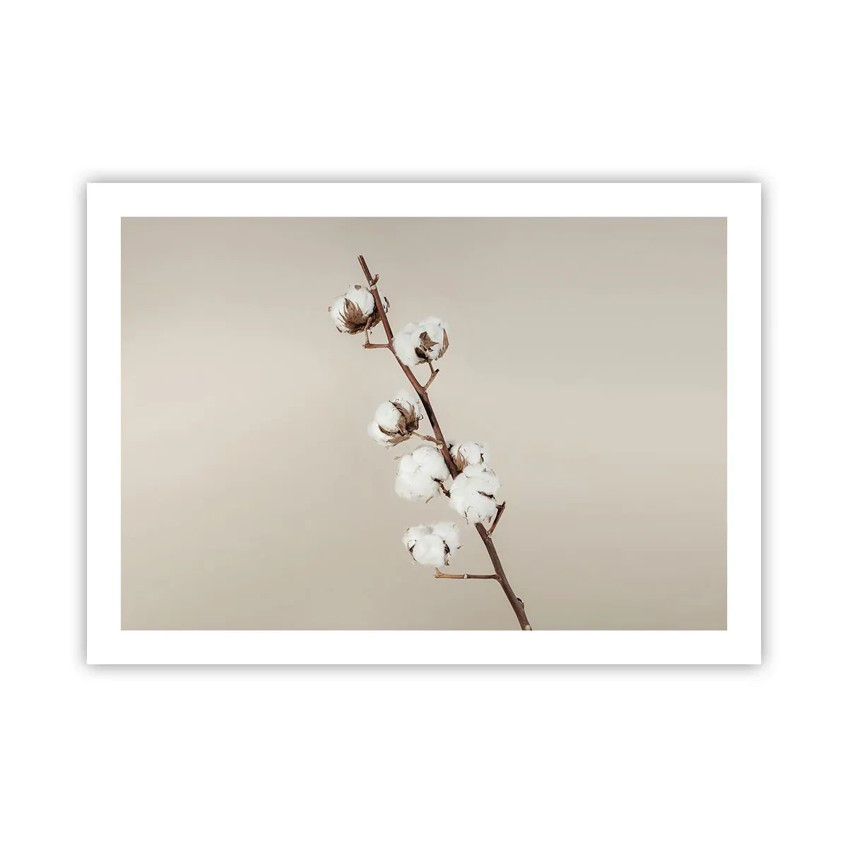 Affiche - Poster - A la source de la douceur - 70x50 cm