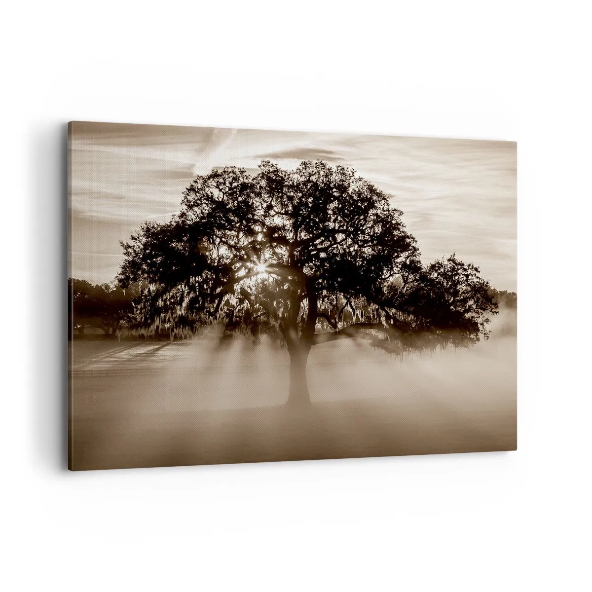 Impression sur toile - Image sur toile - Des rayons de soleil brillent à travers un arbre solitaire - 100x70cm - Arbre de bonnes nouvelles - Décoration murale moderne pour le salon et la chambre ARTTOR