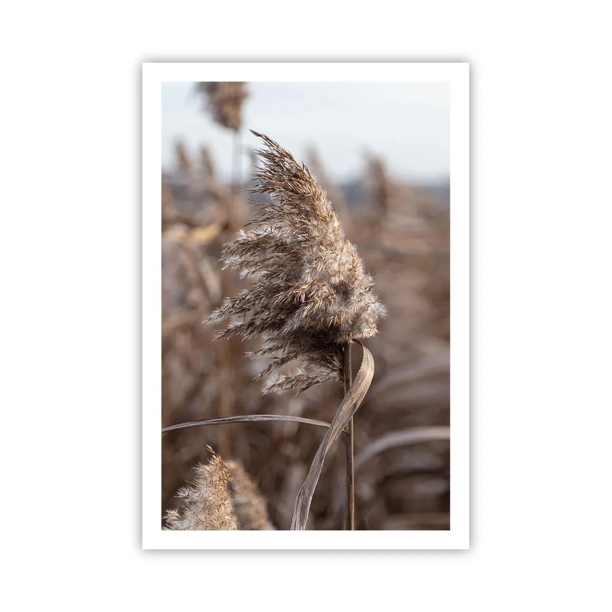 Affiche - Poster - Il est temps de s'envoler avec le vent - 61x91 cm