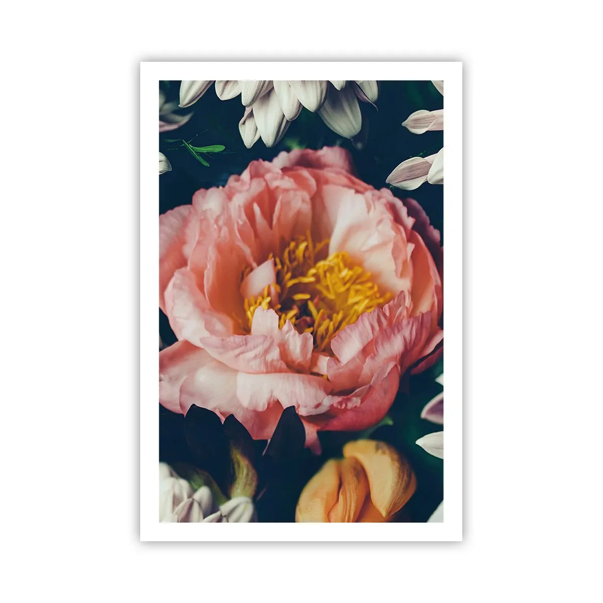 Affiche - Poster - Splendeur baroque - 61x91 cm