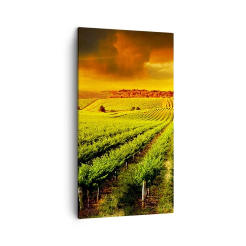 Impression sur toile - Image sur toile - Sous le soleil australien - 45x80 cm