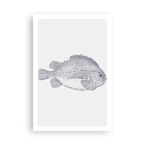 Affiche - Poster - Pour l'album du naturaliste - 61x91 cm