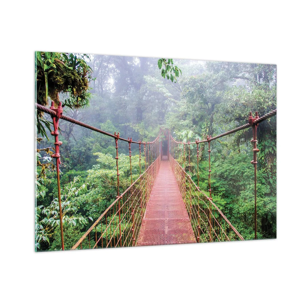 Impression sur verre - Image sur verre - Un pont suspendu rouge au-dessus d'une jungle verte dans le brouillard - 100x70cm - Suspendu sur les couronnes - Décoration murale moderne pour le salon et la chambre ARTTOR
