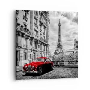 Impression sur toile - Image sur toile - Prédateur dans la ville - 30x30 cm