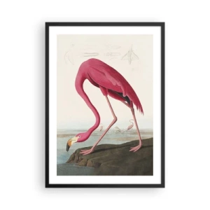 Affiche dans un cadre noir - Poster - Un flamant rose dans un paysage naturel - 50x70cm - Création étonnante - Décoration murale moderne pour le salon et la chambre ARTTOR