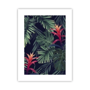 Affiche - Poster - immergé dans la nature - 30x40 cm