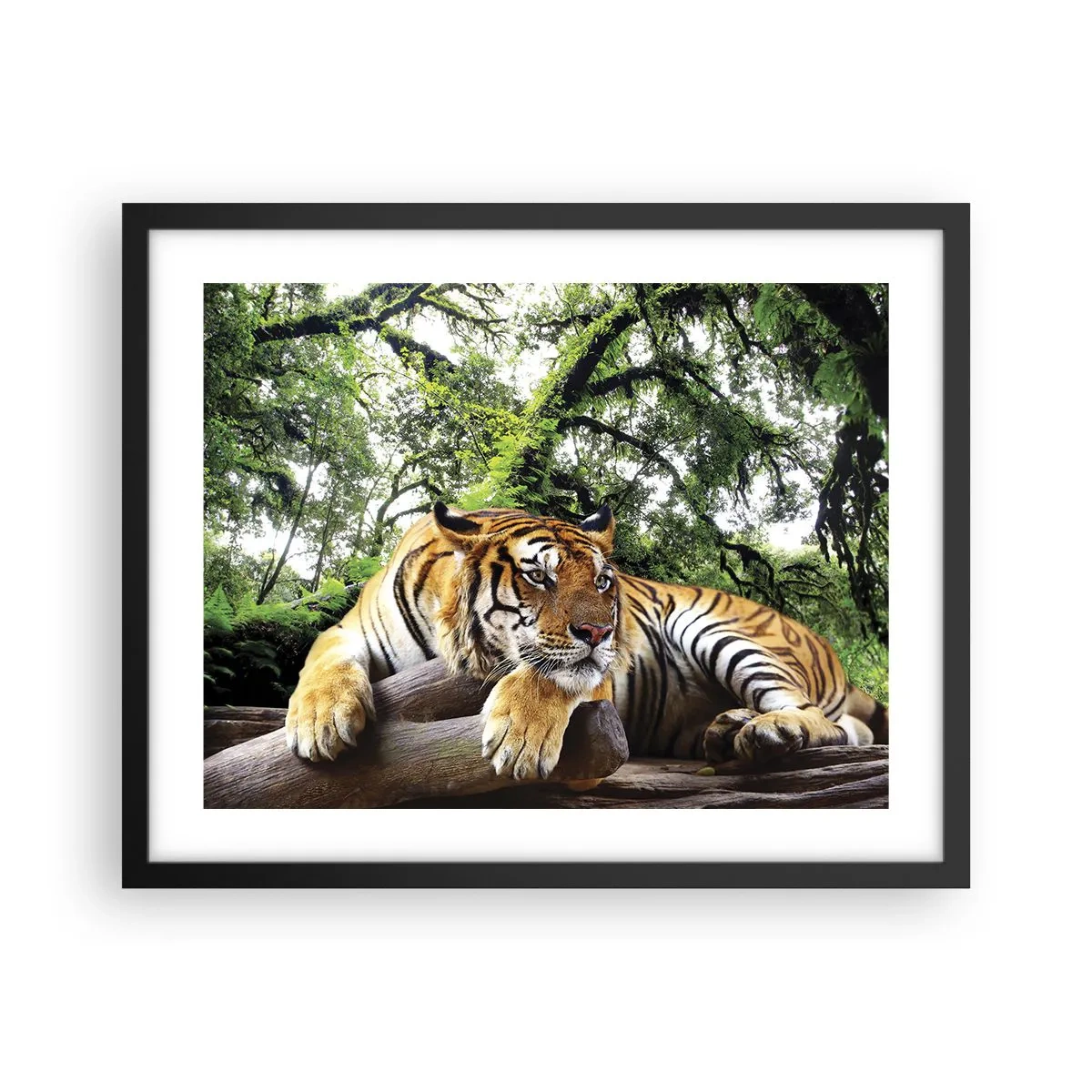 Affiche dans un cadre noir - Poster - Cordialement - 50x40 cm