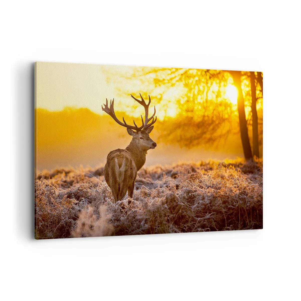 Impression sur toile - Image sur toile - Un cerf sur fond de forêt d'automne illuminée par le soleil doré - 120x80cm - Roi de la forêt automnal - Décoration murale moderne pour le salon et la chambre ARTTOR