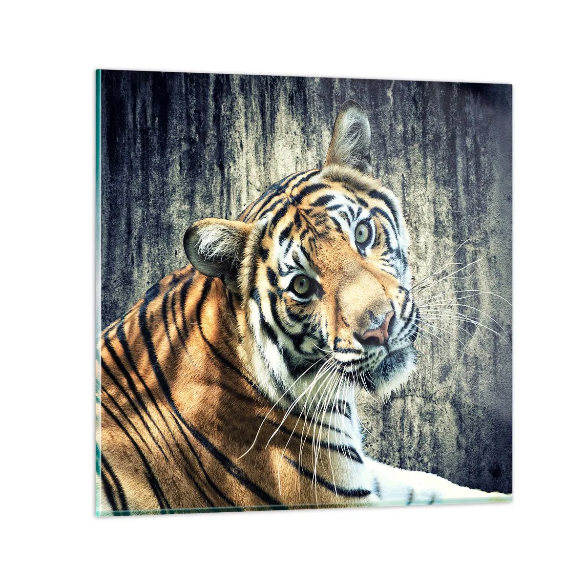 Impression sur verre - Image sur verre - Portrait dans les flots de lumière - 70x70 cm