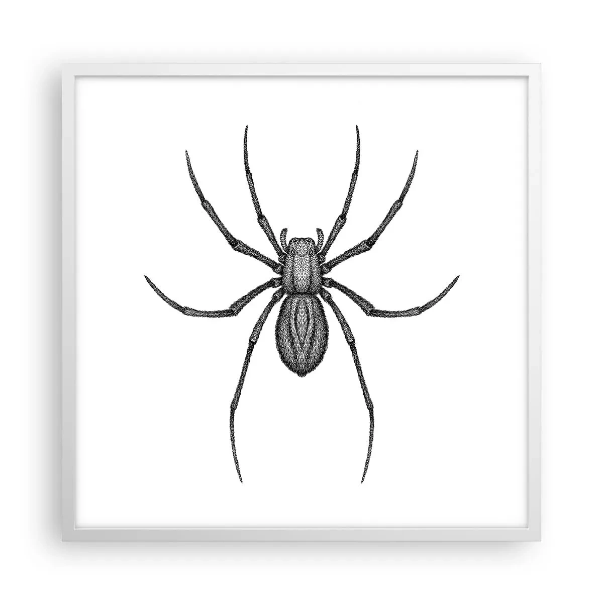 Affiche dans un cadre blanc - Poster - Une précision troublante - 60x60 cm