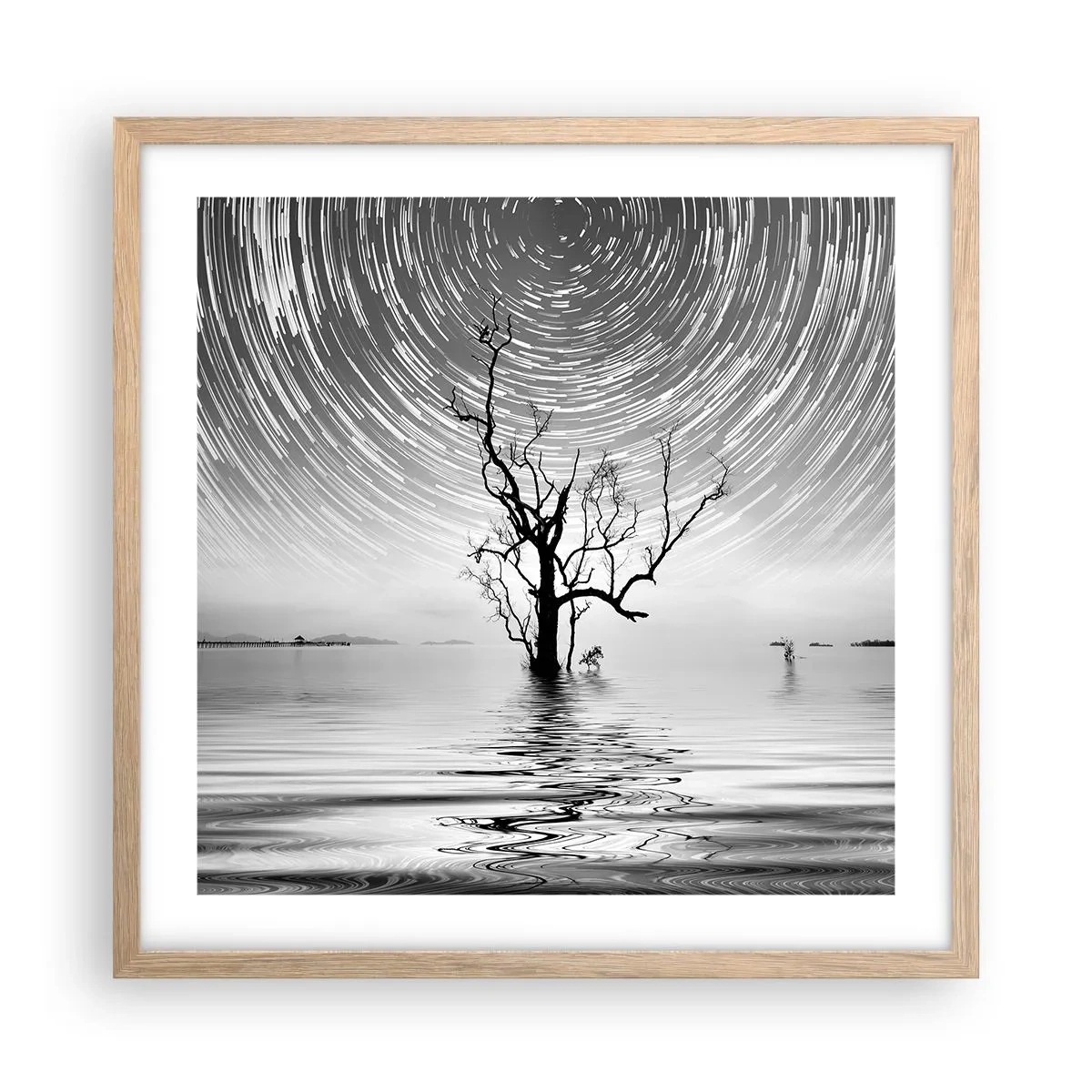 Affiche dans un chêne clair - Poster - La symphonie de la nature - 50x50 cm