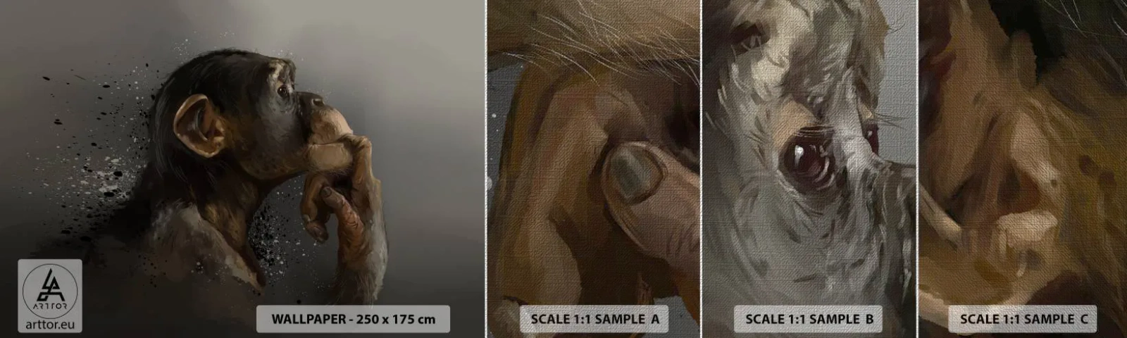 Échantillon de Papier Peint Premium Canvas - Certainement un penseur - Animaux, Singe, Morceau - 100x30 cm