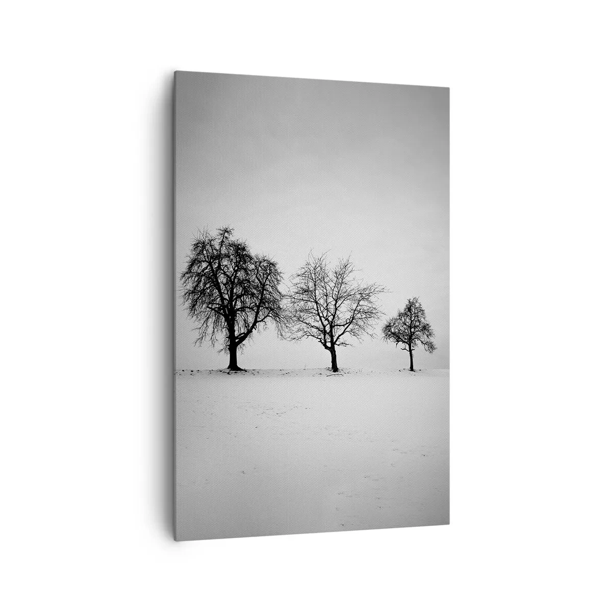 Impression sur toile - Image sur toile - Trois arbres dans un champ enneigé dans un style monochrome - 80x120cm - A quoi rêvent-ils? - Décoration murale moderne pour le salon et la chambre ARTTOR