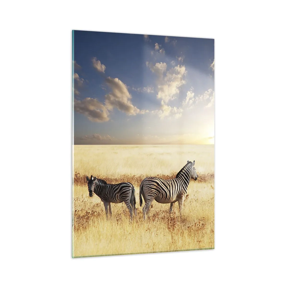Impression sur verre - Image sur verre - Deux zèbres dans la savane au coucher du soleil - 50x70cm - Va-t'en, n'ai pas de paix - Décoration murale moderne pour le salon et la chambre ARTTOR