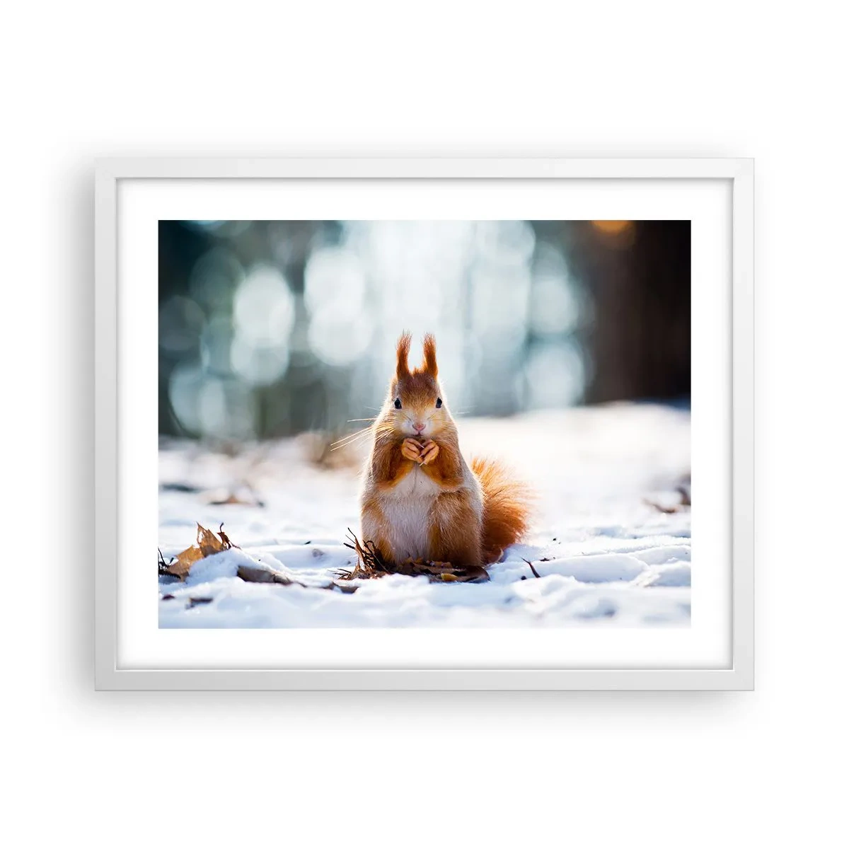 Affiche dans un cadre blanc - Poster - Qu'est ce que tu regardes comme ça? - 50x40 cm