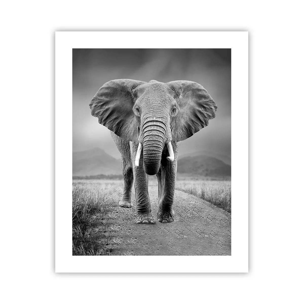 Affiche - Poster - Les hôtes vous saluent - 40x50 cm