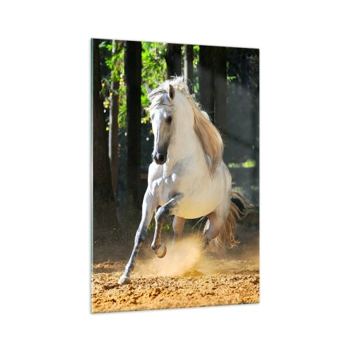 Impression sur verre - Image sur verre - Un cheval blanc galopant dans une clairière forestière - 70x100cm - Comme dans un roman fantastique - Décoration murale moderne pour le salon et la chambre ARTTOR