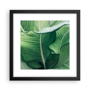 Affiche dans un cadre noir - Poster - Une vie intensément verte - 30x30 cm