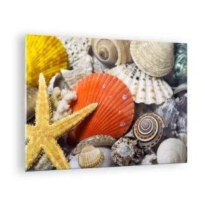 Impression sur verre - Image sur verre - Coquillages colorés et étoiles de mer dans une composition marine - 70x50cm - Trésors de l'océan - Décoration murale moderne pour le salon et la chambre ARTTOR