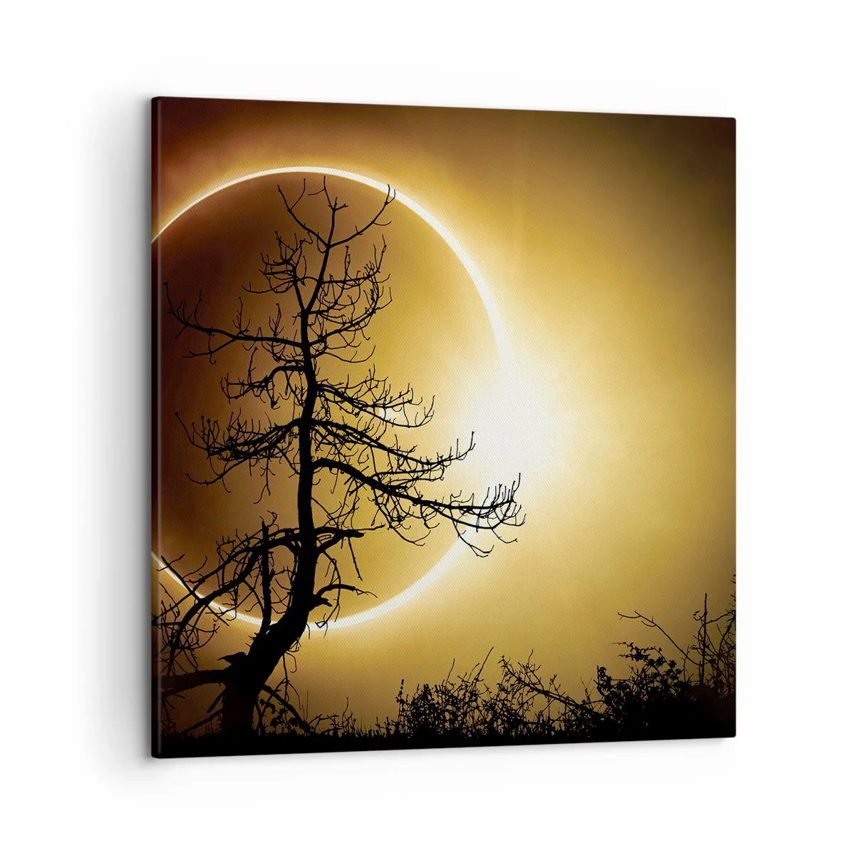 Impression sur toile - Image sur toile - Éclipse totale - 50x50 cm