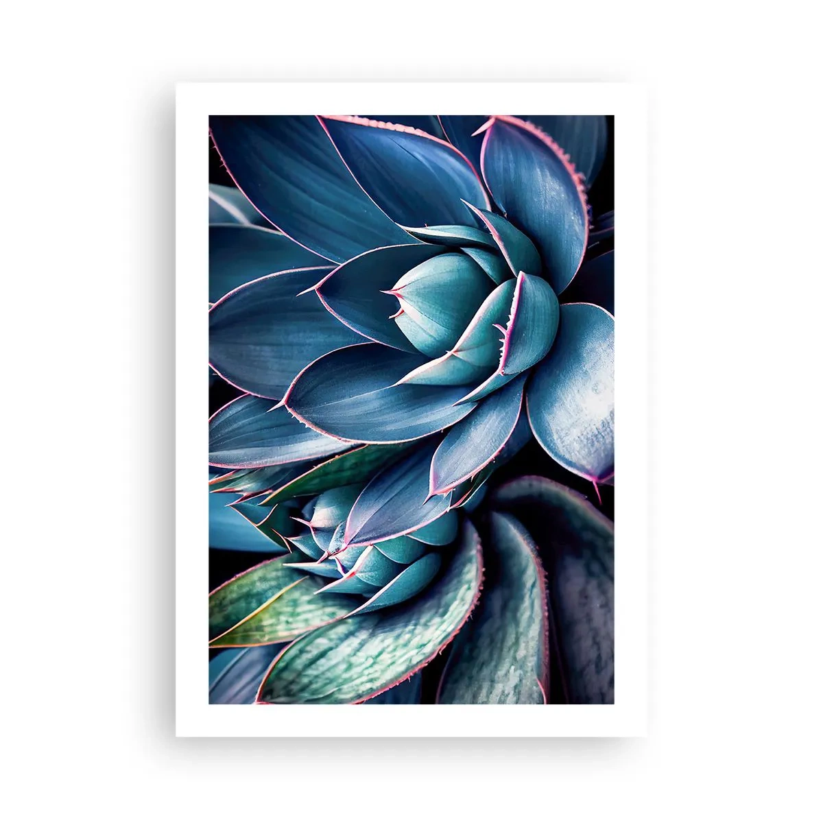 Affiche - Poster - Agave dans les tons de bleu et de vert - 50x70cm - Force vital - Décoration murale moderne pour le salon et la chambre ARTTOR