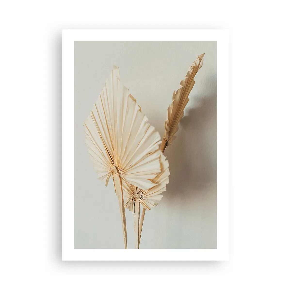 Affiche - Poster - Feuilles de palmier séchées dans un arrangement minimaliste sur un fond clair - 50x70cm - Quand tu dois t’apaiser - Décoration murale moderne pour le salon et la chambre ARTTOR