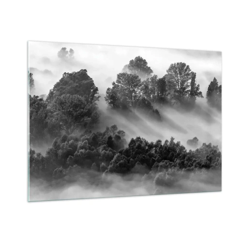 Impression sur verre - Image sur verre - Forêt brumeuse au soleil en noir et blanc - 100x70cm - Sortir de son sommeil - Décoration murale moderne pour le salon et la chambre ARTTOR