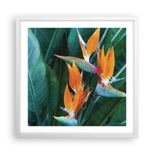 Affiche dans un cadre blanc - Poster - Est-ce une fleur, est-ce un oiseaux? - 50x50 cm