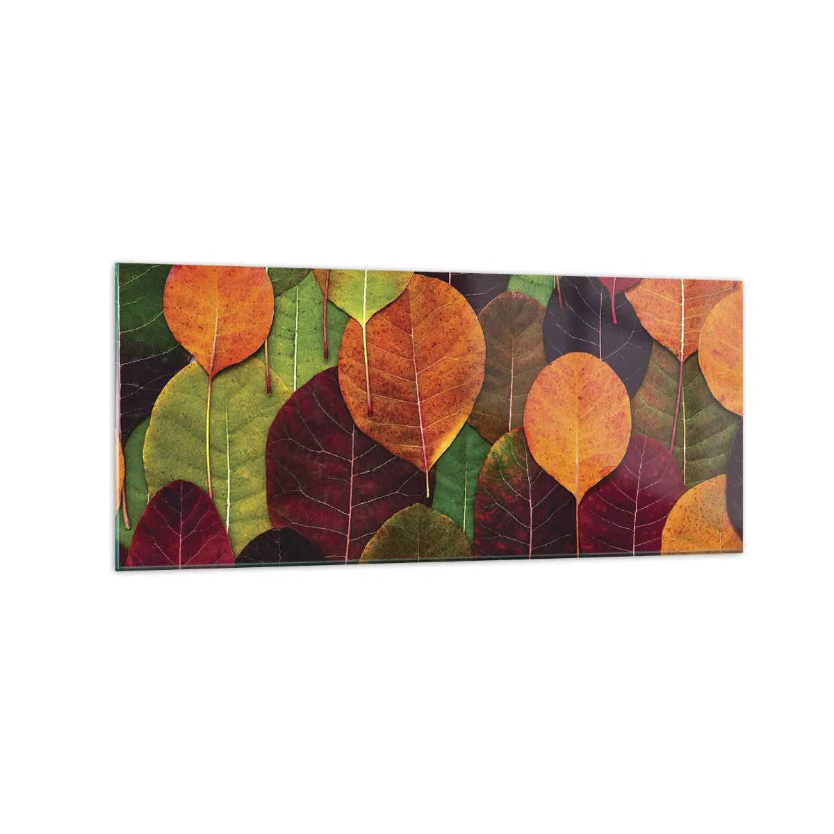 Impression sur verre - Image sur verre - Feuilles colorées disposées selon un motif d'automne - 120x50cm - Mozaique printannière - Décoration murale moderne pour le salon et la chambre ARTTOR