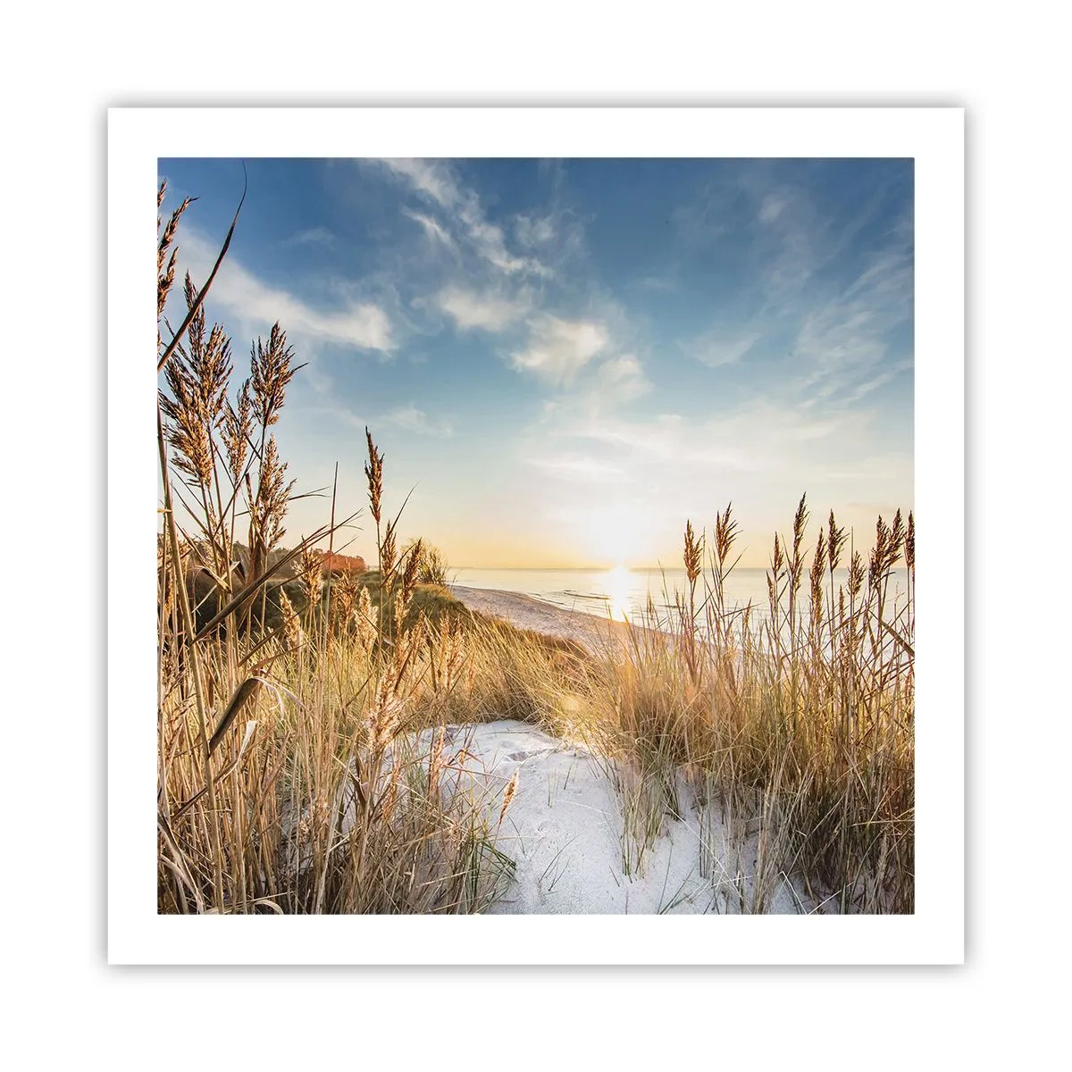 Affiche - Poster - Plage du nord - 60x60 cm