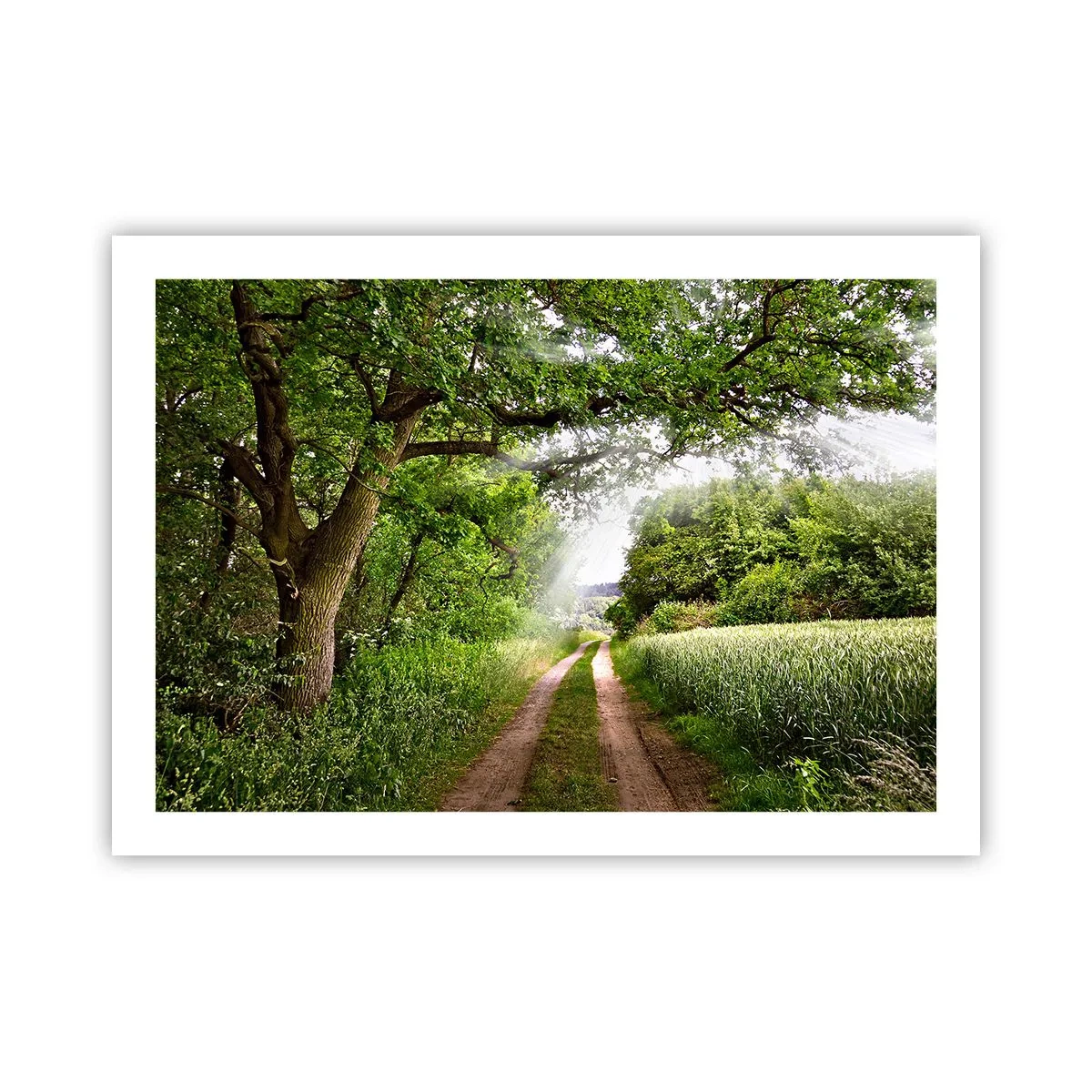 Affiche - Poster - Et in Arcadia ego - 70x50 cm