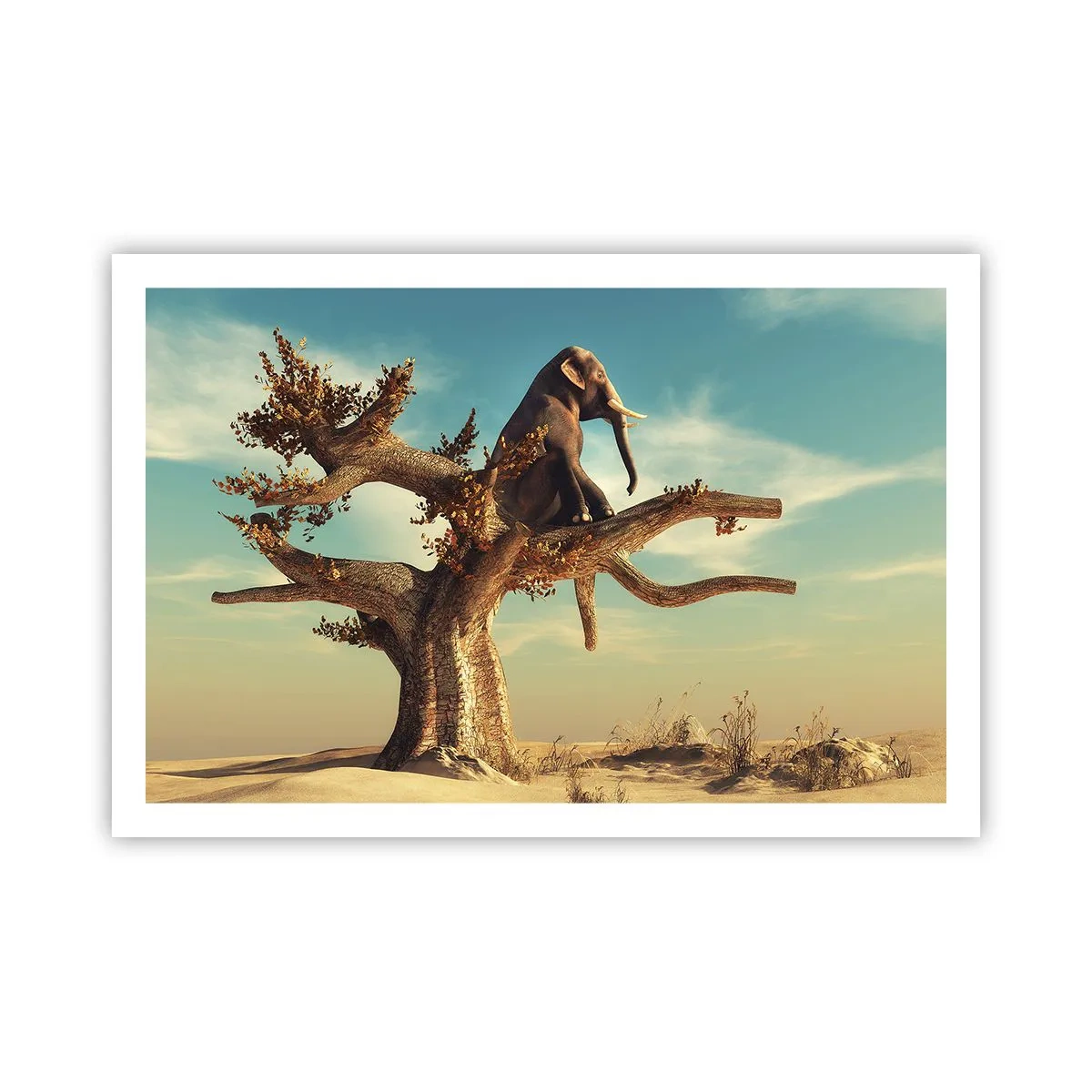 Affiche - Poster - Nouveau point de vue - 91x61 cm