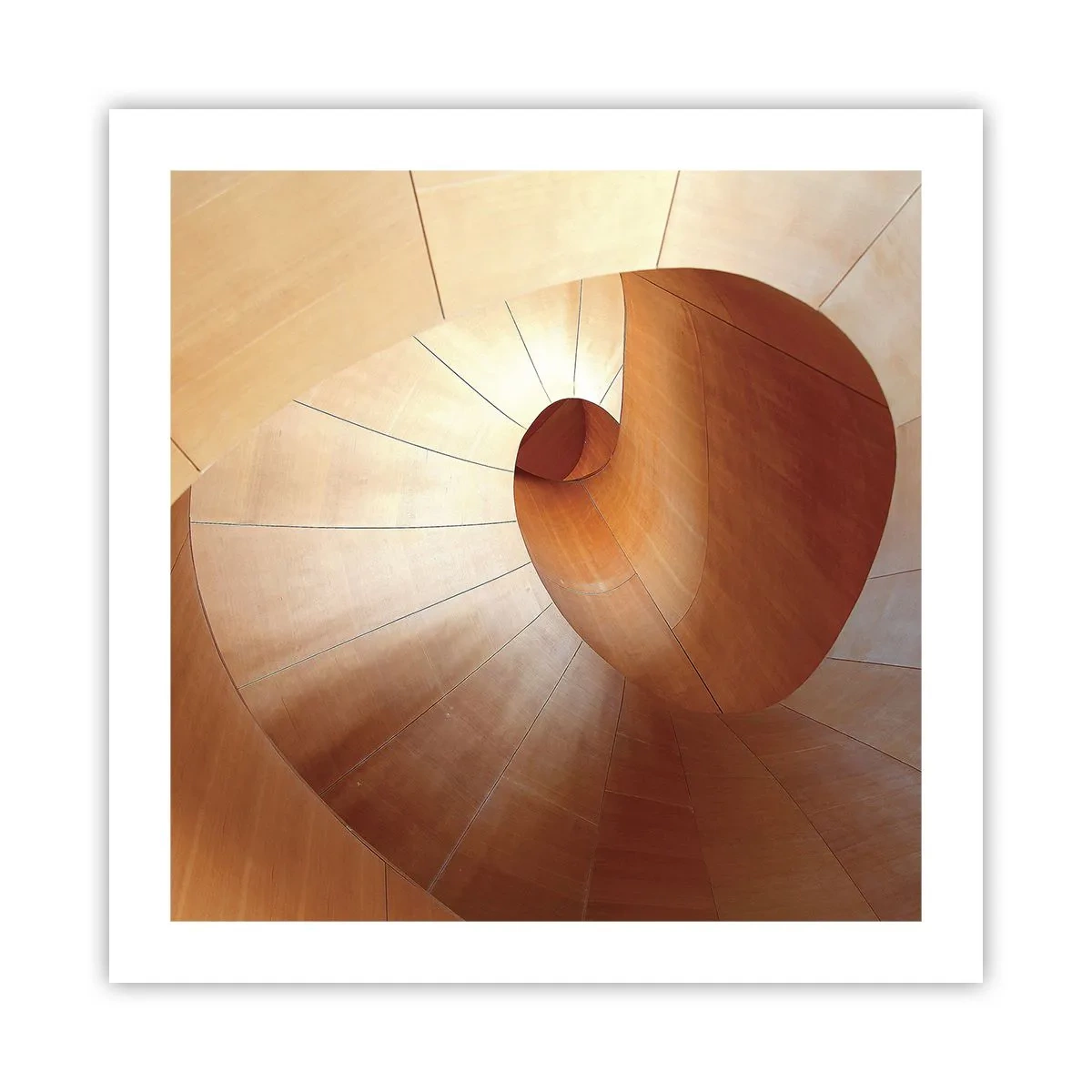 Affiche - Poster - Serpentin architectural - 50x50 cm