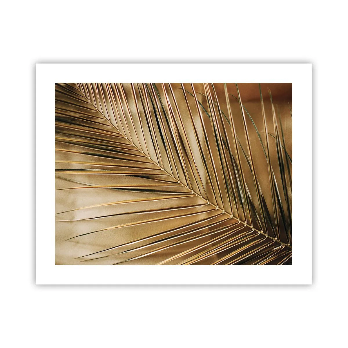 Affiche - Poster - Colonnade naturelle - 50x40 cm