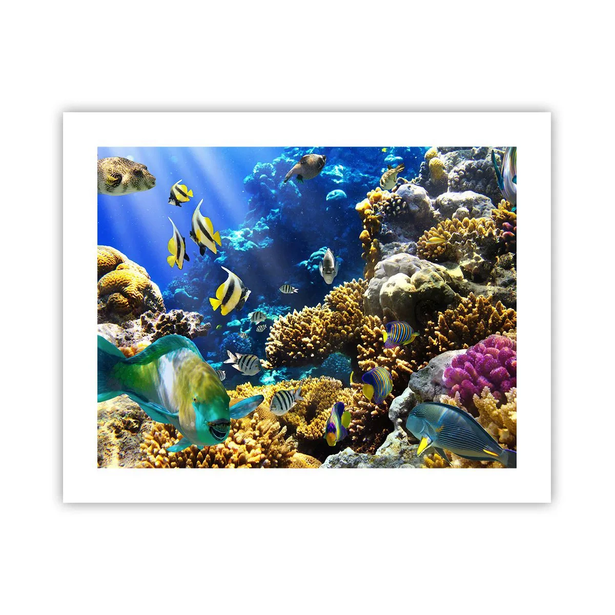 Affiche - Poster - Beaucoup de circulation sur la route des vacances - 50x40 cm