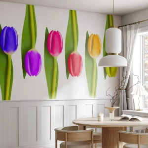 Papier Peint Autocollant Deluxe Sticker - Composition arc-en-ciel - Fleurs, Tulipes, Nature - 100x70 cm