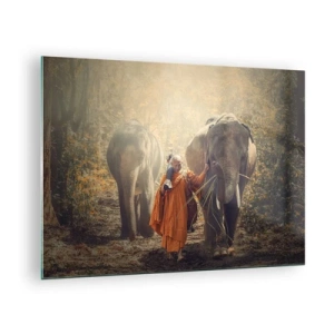 Impression sur verre - Image sur verre - Un moine avec deux éléphants dans un décor forestier - 70x50cm - Compréhension totale - Décoration murale moderne pour le salon et la chambre ARTTOR