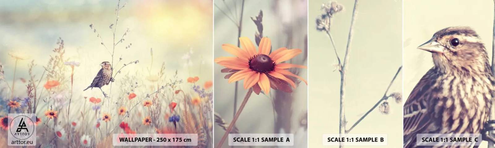 Échantillon de Papier Peint Autocollant Deluxe Sticker - Portrait d'oiseau sur pré en fond - Oiseau, Prairie, Nature - 100x30 cm
