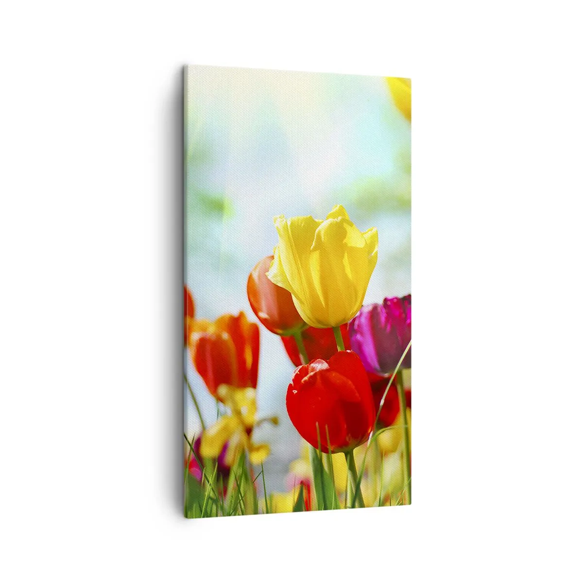 Impression sur toile - Image sur toile - Toutes les couleurs du soleil - 45x80 cm